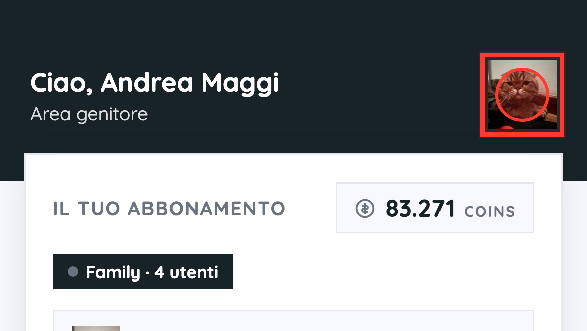 Il tuo profilo